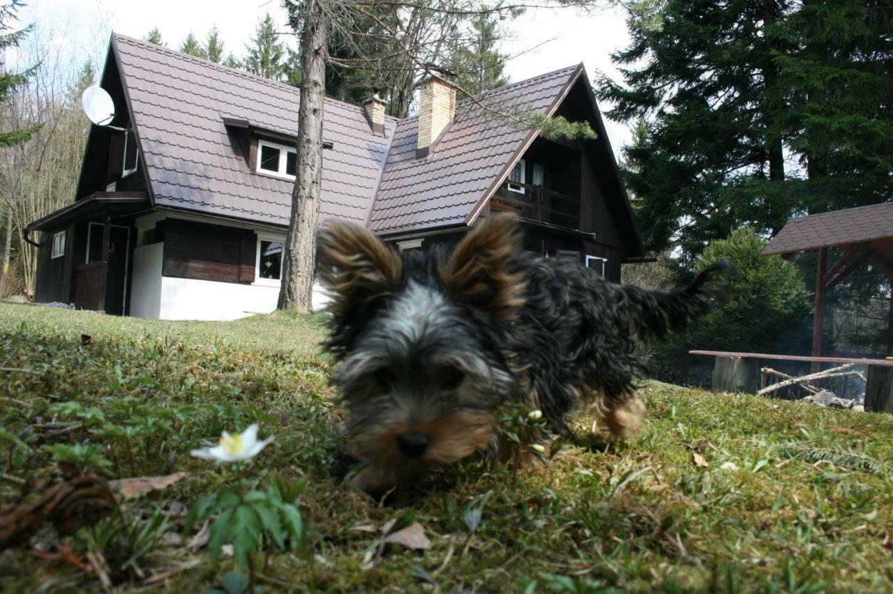 Villa Chata Rusalka à Nemecká Extérieur photo